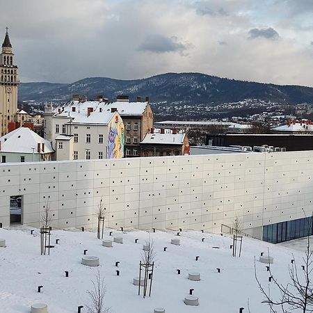 Gray Lägenhet Bielsko-Biała Exteriör bild